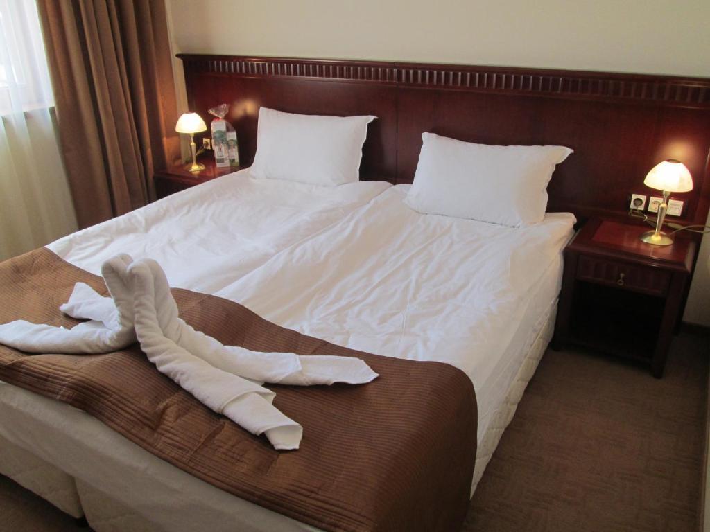 Downtown Alexander Services Apartments Bansko Kamer foto