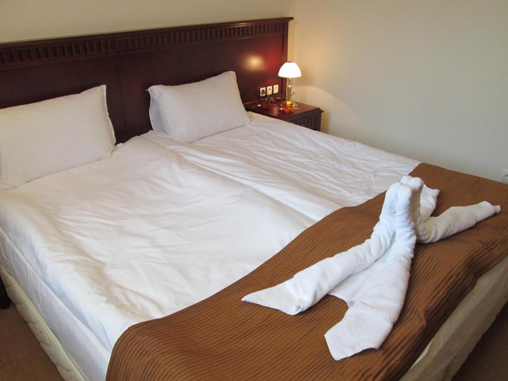Downtown Alexander Services Apartments Bansko Kamer foto